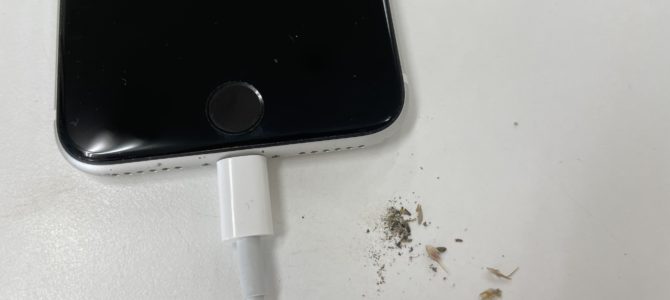 ◆加古川市よりiPhone SE2 充電不良→無料クリーニング -2024 9/8-