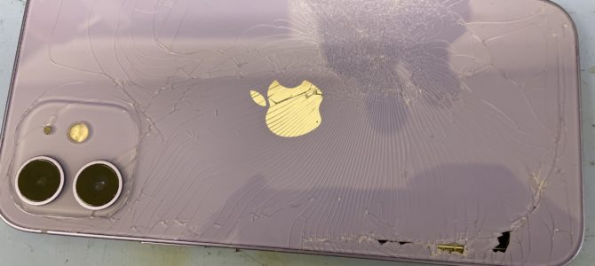 ◆加古川市よりiPhone12Pro 起動不良 -2024 10/22-