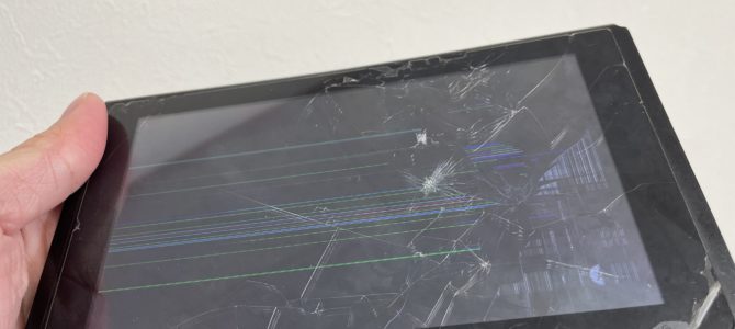 ◆加古川市より任天堂Switch 液晶不良 -2024 12/20-