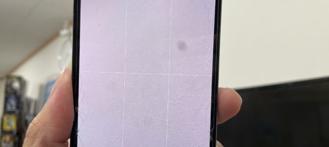 ◆加古川市よりiPhone13Pro カメラ修理＆バッテリー交換 -2025 9/11-